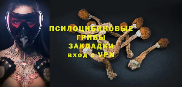 прущие грибы Ладушкин