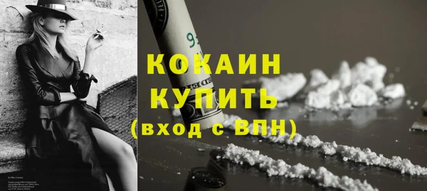прущие грибы Ладушкин