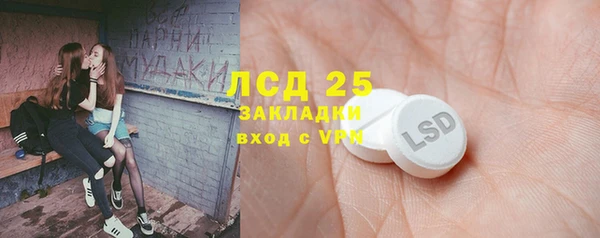 прущие грибы Ладушкин