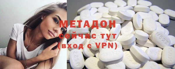прущие грибы Ладушкин