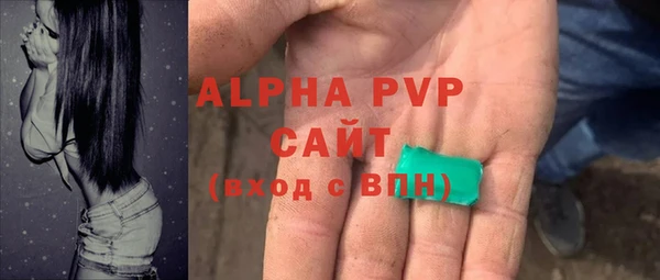 прущие грибы Ладушкин