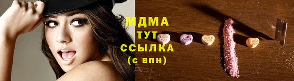прущие грибы Ладушкин