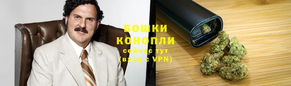 прущие грибы Ладушкин