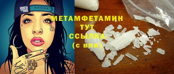 прущие грибы Ладушкин