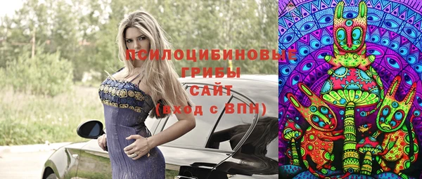 spice Лабытнанги