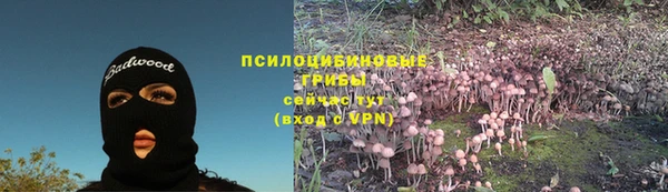 гидропоника Лагань