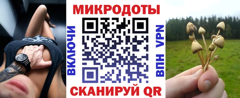 Псилоцибиновые грибы Magic Shrooms  Махачкала 