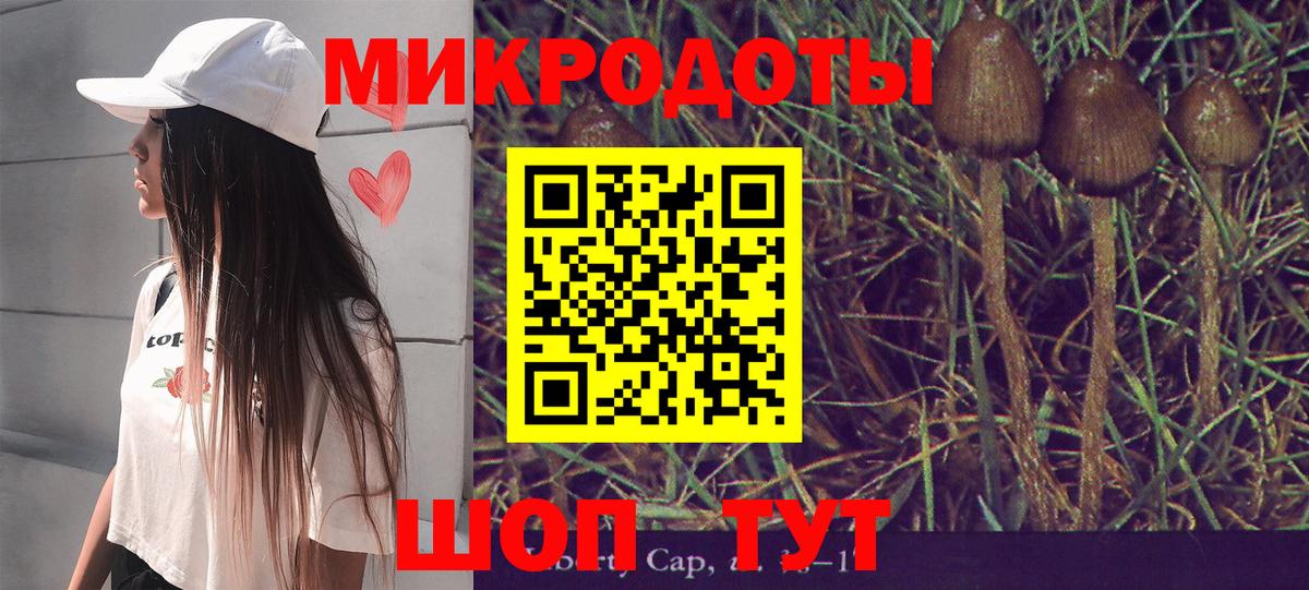 Галлюциногенные грибы Psilocybine cubensis  Махачкала 